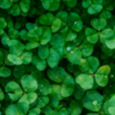 이성에게 나는 어떤 매력적인 요소를 가지고 있을까요?