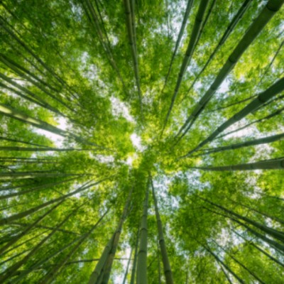 지인과의 관계를 회복하려면 어떻게 하면 좋을까요?