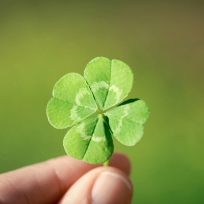 무료운세 : 오늘, 나에게 찾아올 작은 행운은? (럭키 카드 뽑기!)