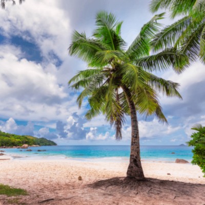 무료운세 : 스트레스 타파! 나에게 필요한 힐링법은? (타로 처방전)