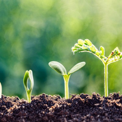 오늘, 나를 성장시키는 키워드는? (성장카드)