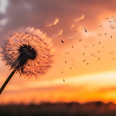 상대가 생각하는 이상적인 연애의 모습은?