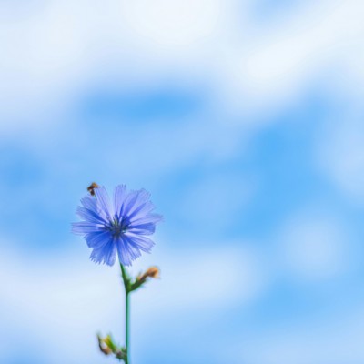 상대의 속마음, 궁금하지 않나요?