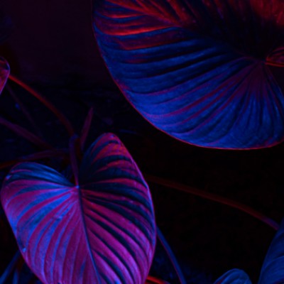 (심층분석편) 헤어진 그 사람이 좋아했던 나의 모습은?