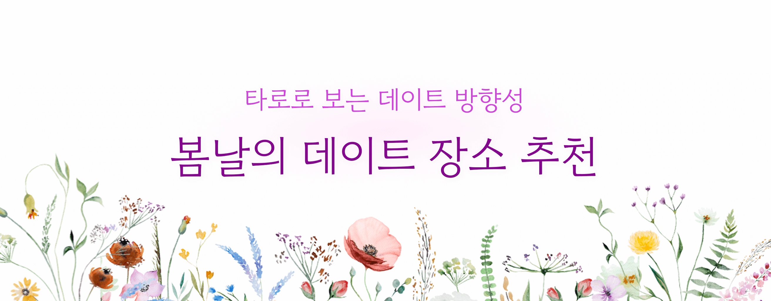 타로 이미지