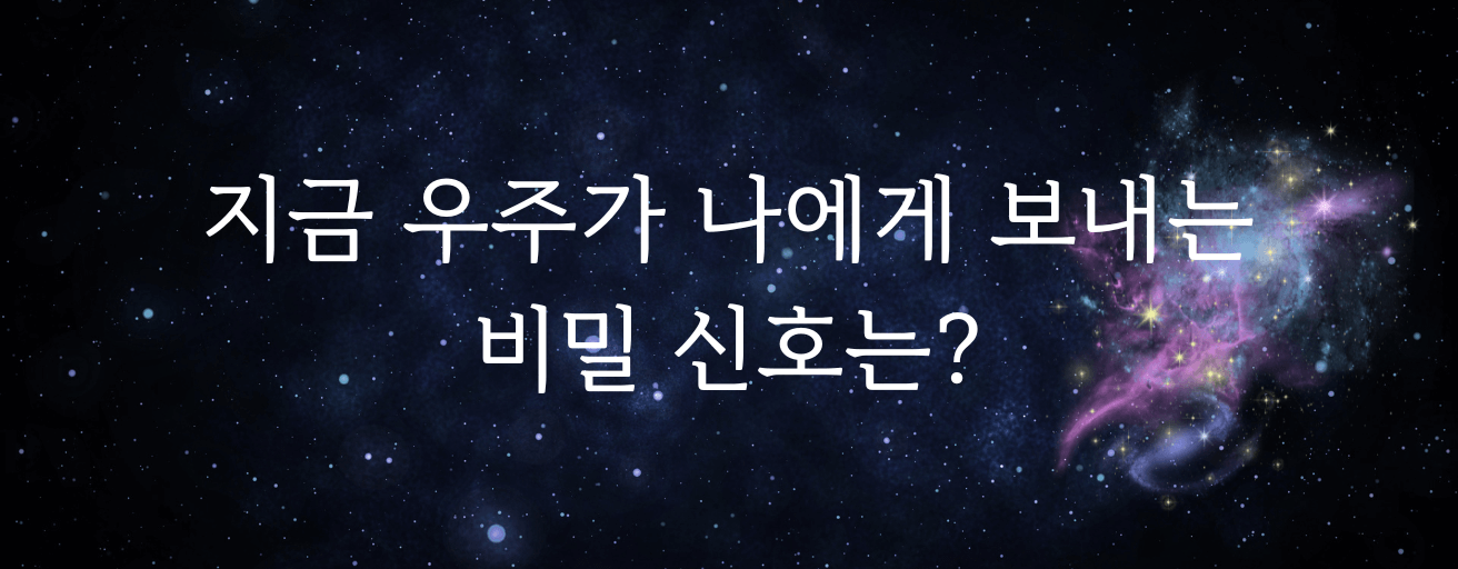타로 이미지