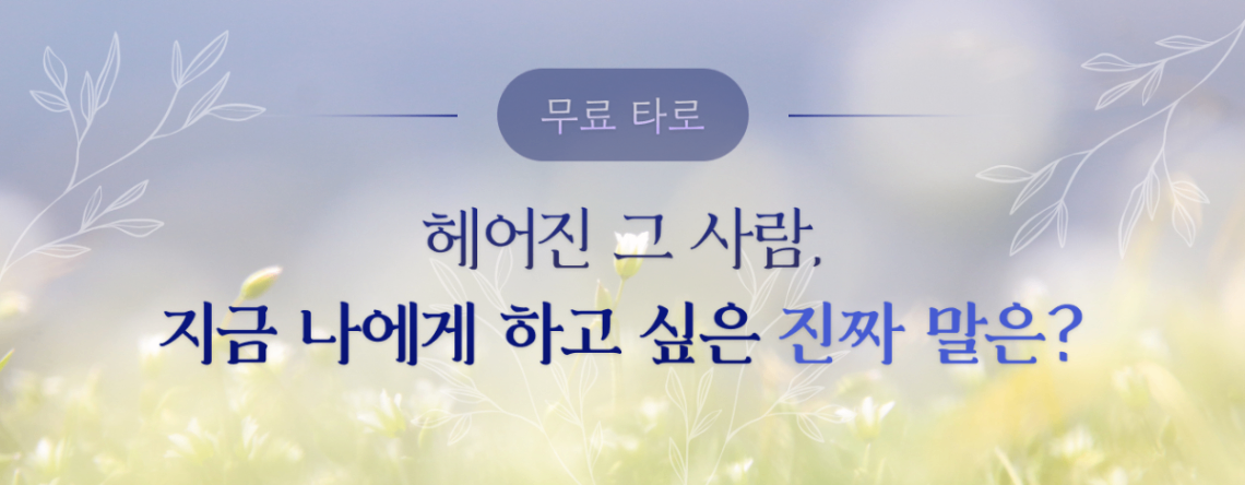 타로 이미지