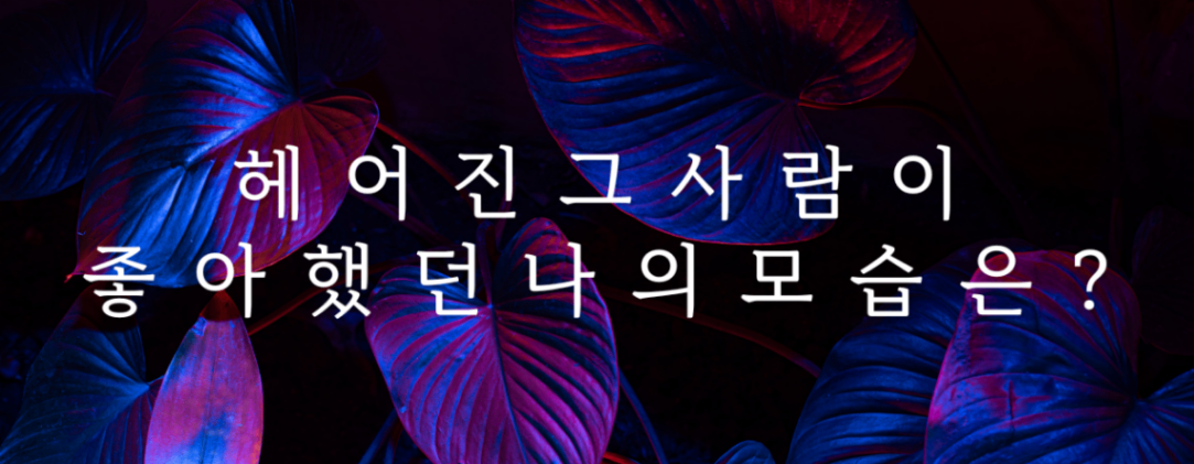 타로 이미지