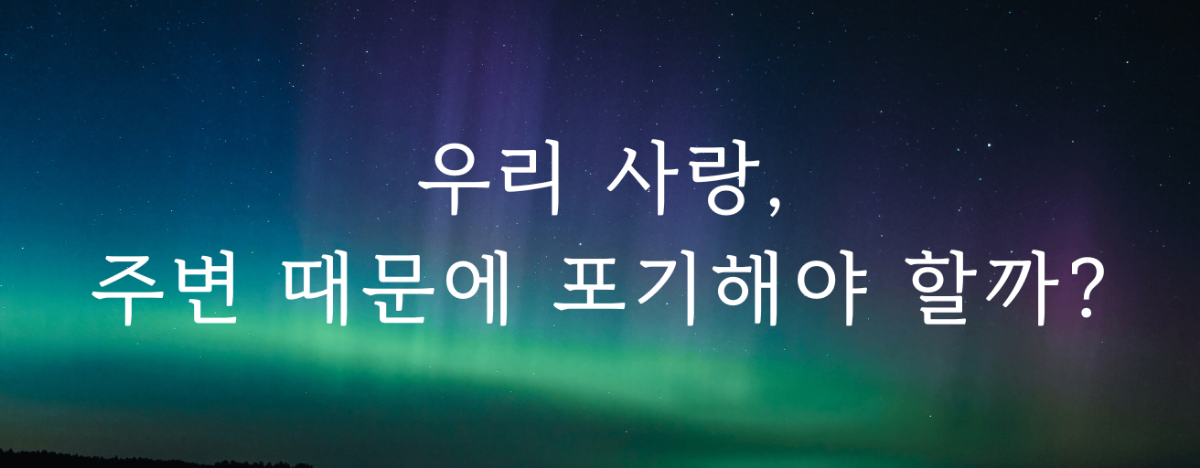 타로 이미지