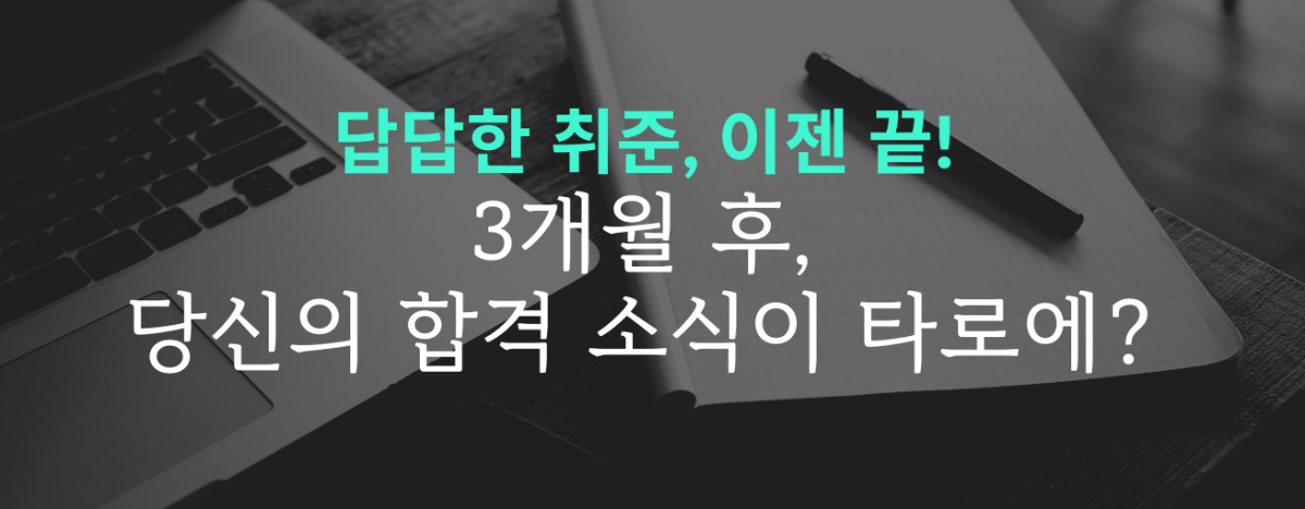 타로 이미지