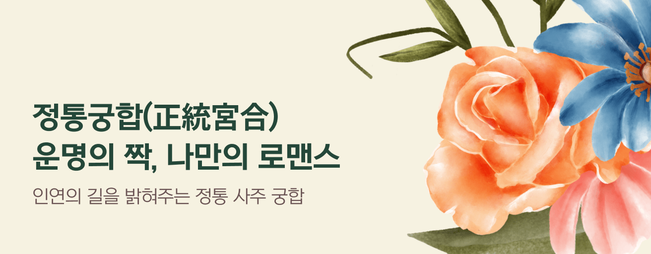 타로 이미지