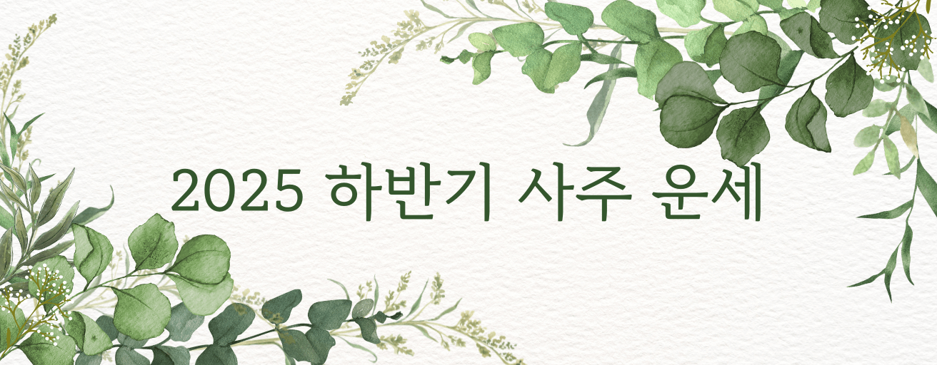 타로 이미지